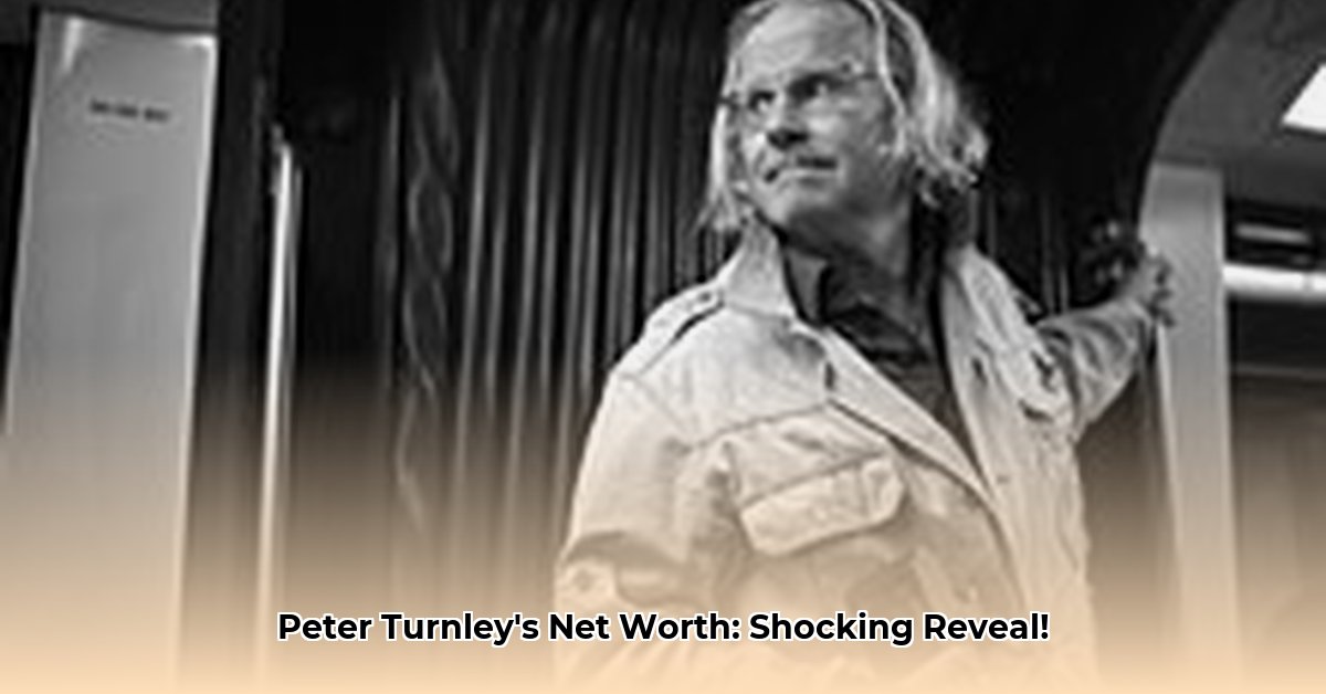 peter-turnley-net-worth